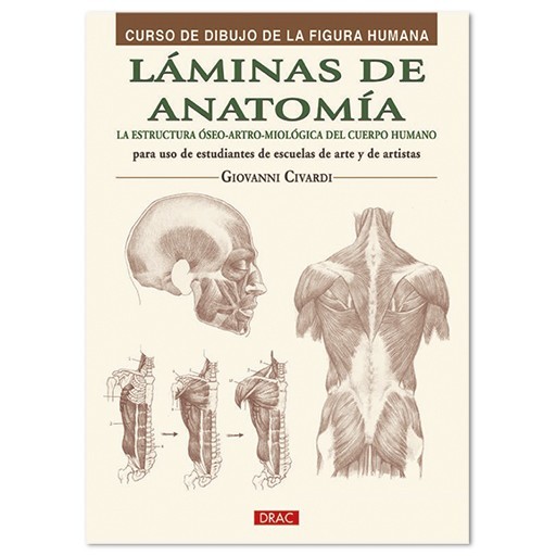 LÁMINAS DE ANATOMÍA